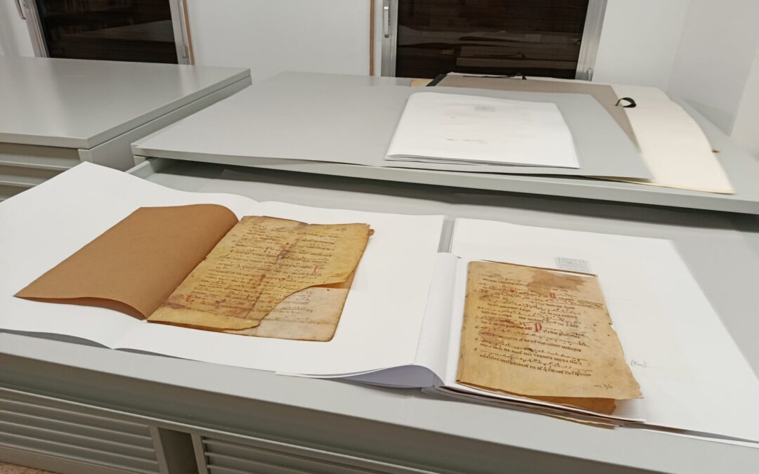 El Archivo Histórico Archidiocesano de Tarragona adquiere nuevo mobiliario de conservación gracias al apoyo de la Diputación de Tarragona